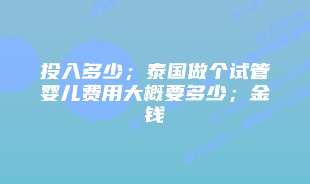 投入多少;泰国做个试管婴儿费用大概要多少;金钱