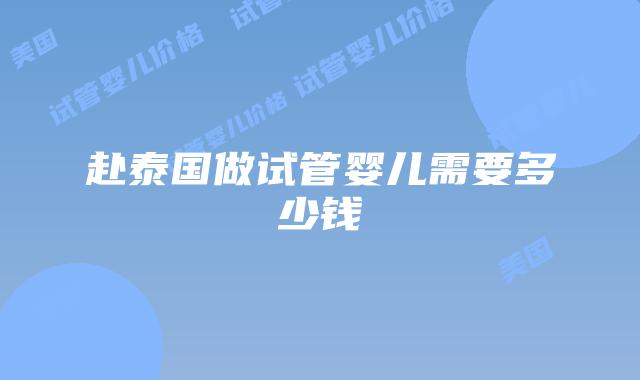 赴泰国做试管婴儿需要多少钱