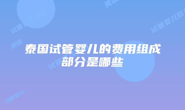 泰国试管婴儿的费用组成部分是哪些