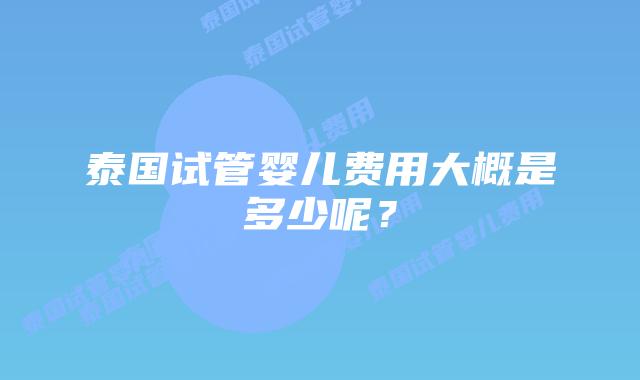 泰国试管婴儿费用大概是多少呢？