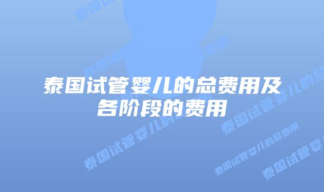 泰国试管婴儿的总费用及各阶段的费用