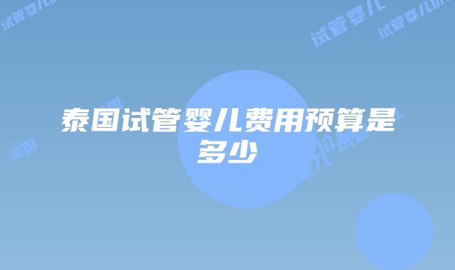 泰国试管婴儿费用预算是多少