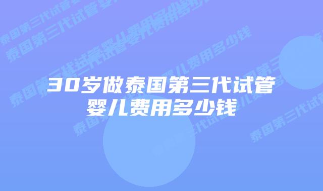 30岁做泰国第三代试管婴儿费用多少钱