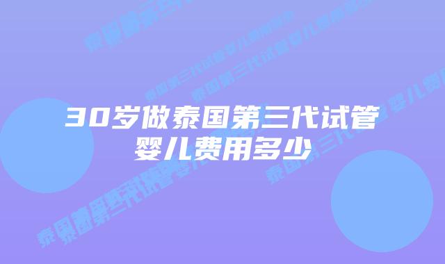 30岁做泰国第三代试管婴儿费用多少