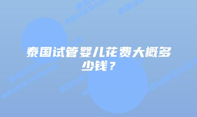 泰国试管婴儿花费大概多少钱?