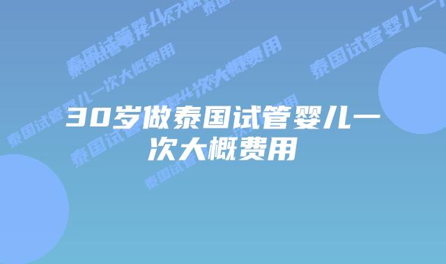 30岁做泰国试管婴儿一次大概费用