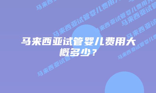 马来西亚试管婴儿费用大概多少?