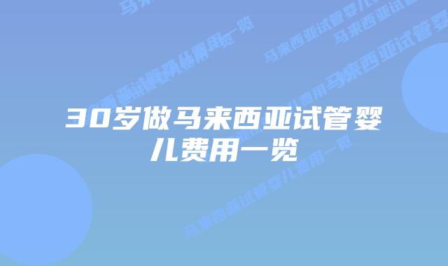 30岁做马来西亚试管婴儿费用一览