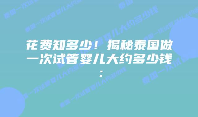 花费知多少!揭秘泰国做一次试管婴儿大约多少钱: