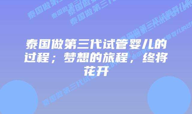 泰国做第三代试管婴儿的过程;梦想的旅程,终将花开