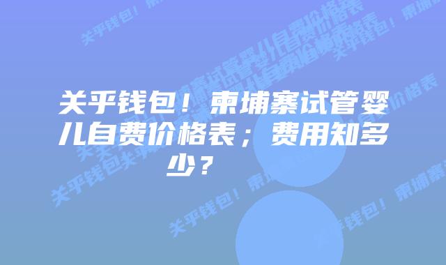 关乎钱包！柬埔寨试管婴儿自费价格表；费用知多少？    