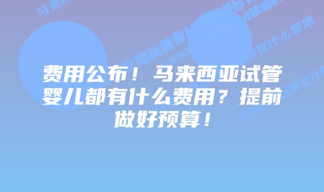 费用公布！马来西亚试管婴儿都有什么费用？提前做好预算！