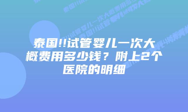 泰国!!试管婴儿一次大概费用多少钱?附上2个医院的明细
