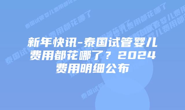 新年快讯-泰国试管婴儿费用都花哪了？2024费用明细公布