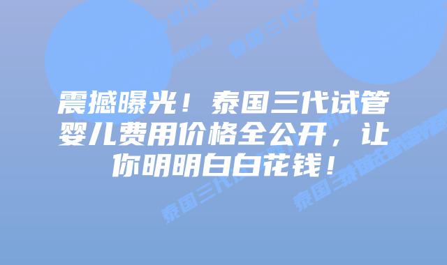 震撼曝光！泰国三代试管婴儿费用价格全公开，让你明明白白花钱！