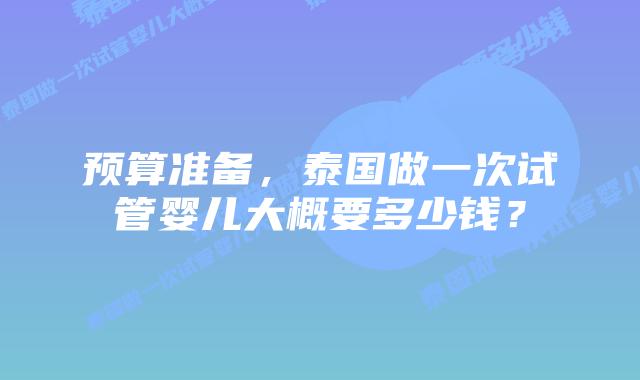 预算准备,泰国做一次试管婴儿大概要多少钱?
