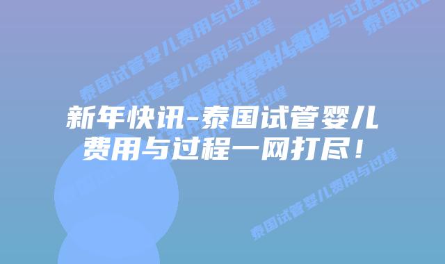新年快讯-泰国试管婴儿费用与过程一网打尽!