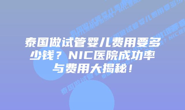 泰国做试管婴儿费用要多少钱?NIC医院成功率与费用大揭秘!