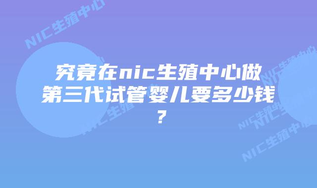 究竟在nic生殖中心做第三代试管婴儿要多少钱?