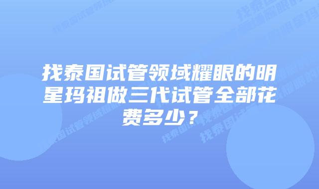 找泰国试管领域耀眼的明星玛祖做三代试管全部花费多少?