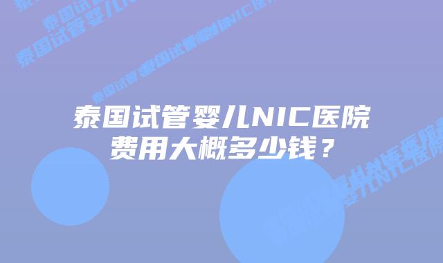 泰国试管婴儿NIC医院费用大概多少钱?