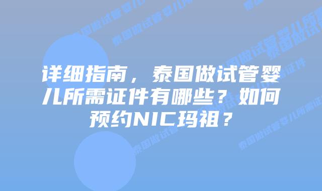 详细指南，泰国做试管婴儿所需证件有哪些？如何预约NIC玛祖？