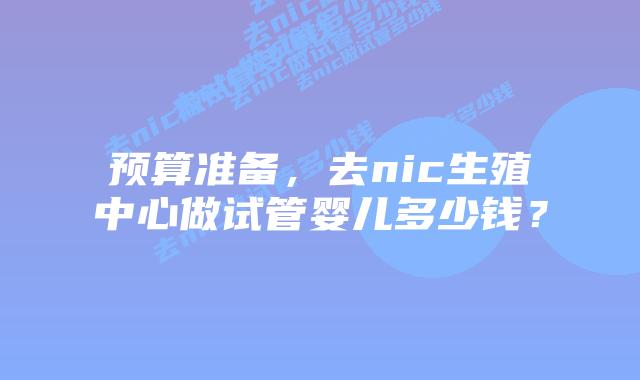 预算准备,去nic生殖中心做试管婴儿多少钱?