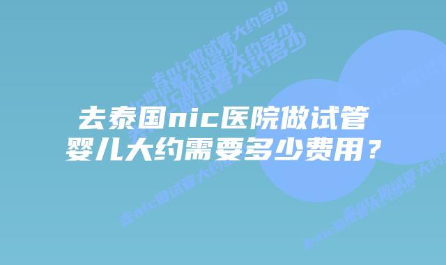 去泰国nic医院做试管婴儿大约需要多少费用?