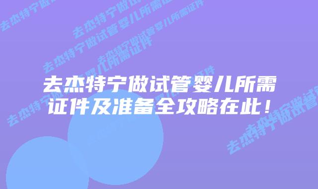 去杰特宁做试管婴儿所需证件及准备全攻略在此！