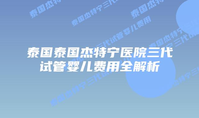 泰国泰国杰特宁医院三代试管婴儿费用全解析