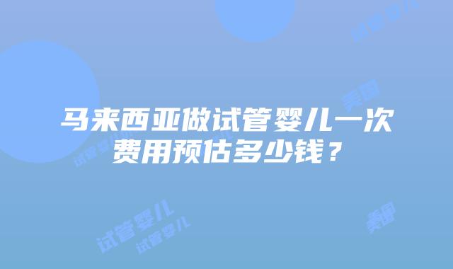 马来西亚做试管婴儿一次费用预估多少钱?