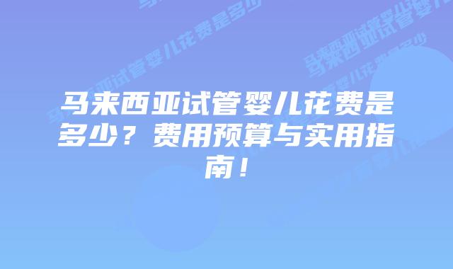 马来西亚试管婴儿花费是多少?费用预算与实用指南!