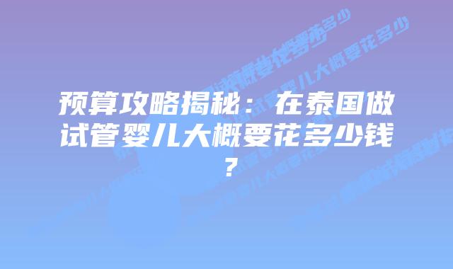 预算攻略揭秘：在泰国做试管婴儿大概要花多少钱？