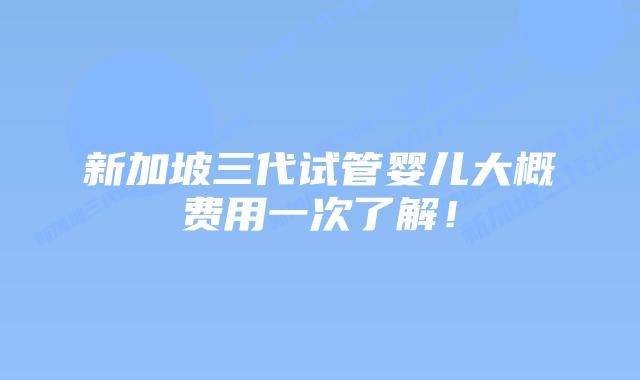 新加坡三代试管婴儿大概费用一次了解!
