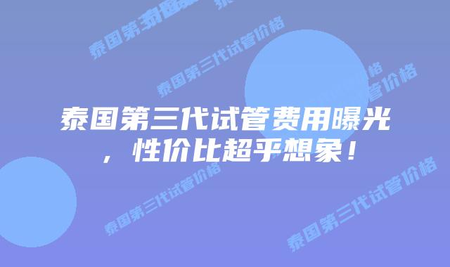 泰国第三代试管费用曝光,性价比超乎想象!