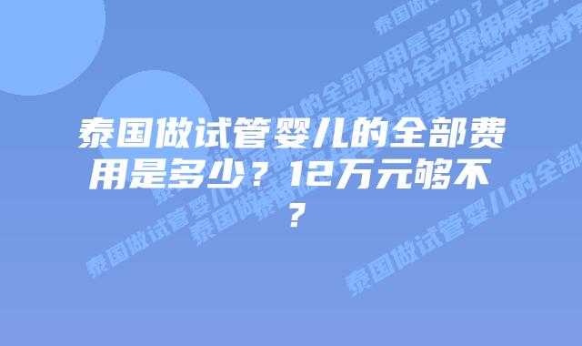 泰国做试管婴儿的全部费用是多少?12万元够不?