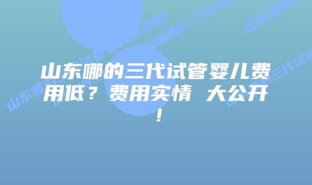 山东哪的三代试管婴儿费用低?费用实情 大公开!