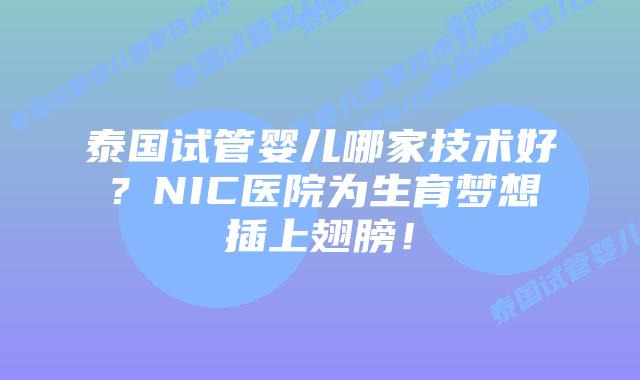 泰国试管婴儿哪家技术好?NIC医院为生育梦想插上翅膀!