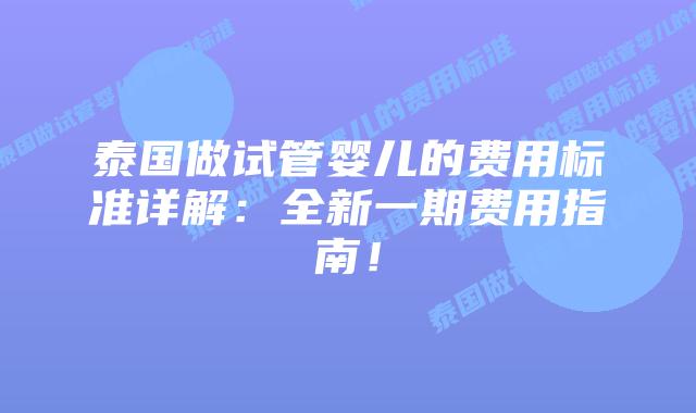 泰国做试管婴儿的费用标准详解:全新一期费用指南!