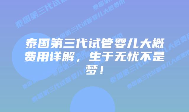 泰国第三代试管婴儿大概费用详解,生于无忧不是梦!