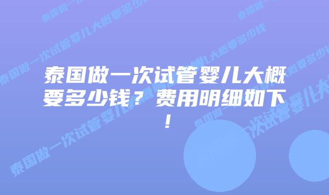 泰国做一次试管婴儿大概要多少钱？费用明细如下！