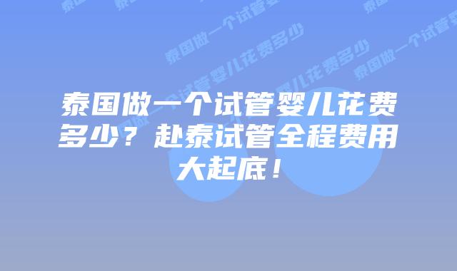 泰国做一个试管婴儿花费多少?赴泰试管全程费用大起底!