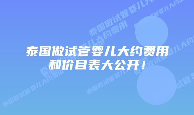泰国做试管婴儿大约费用和价目表大公开!