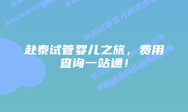 赴泰试管婴儿之旅,费用查询一站通!