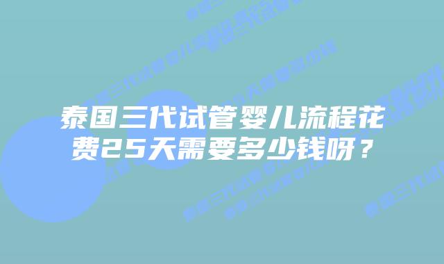 泰国三代试管婴儿流程花费25天需要多少钱呀?