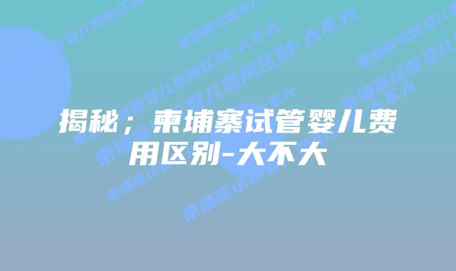 揭秘;柬埔寨试管婴儿费用区别-大不大