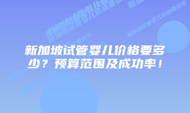 新加坡试管婴儿价格要多少？预算范围及成功率！
