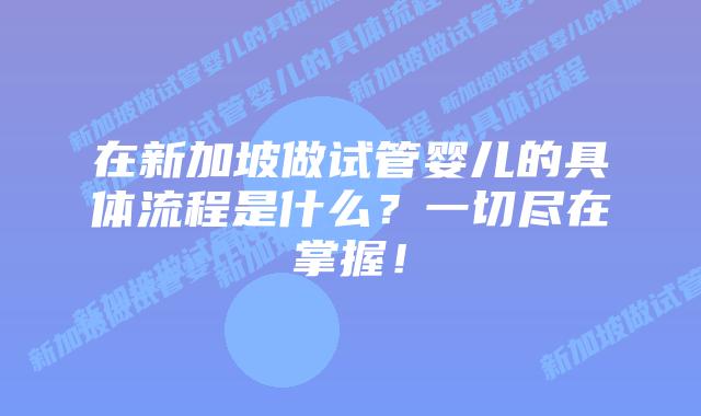 在新加坡做试管婴儿的具体流程是什么?一切尽在掌握!