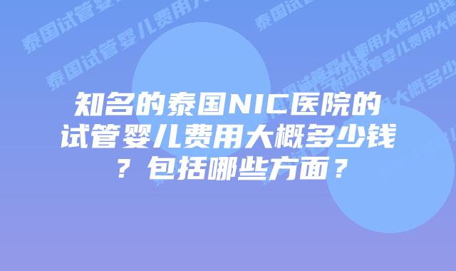 知名的泰国NIC医院的试管婴儿费用大概多少钱?包括哪些方面?