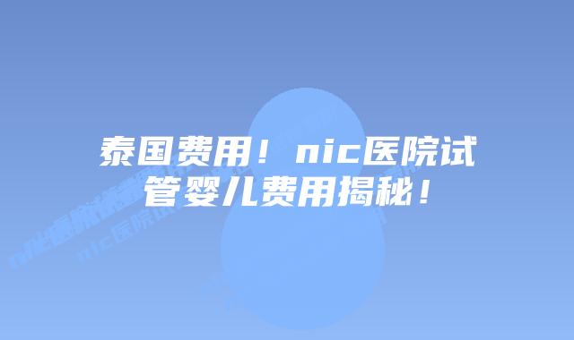 泰国费用!nic医院试管婴儿费用揭秘!